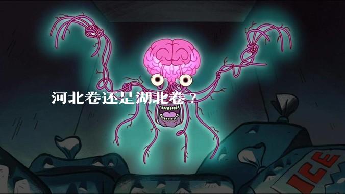 河北卷还是湖北卷?